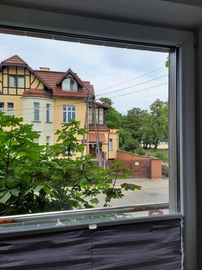 Проживання в сім'ї Amber House